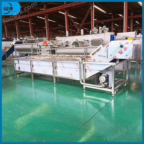 氣泡洗袋機(jī) 食品外包裝清洗設(shè)備 凈菜加工設(shè)備